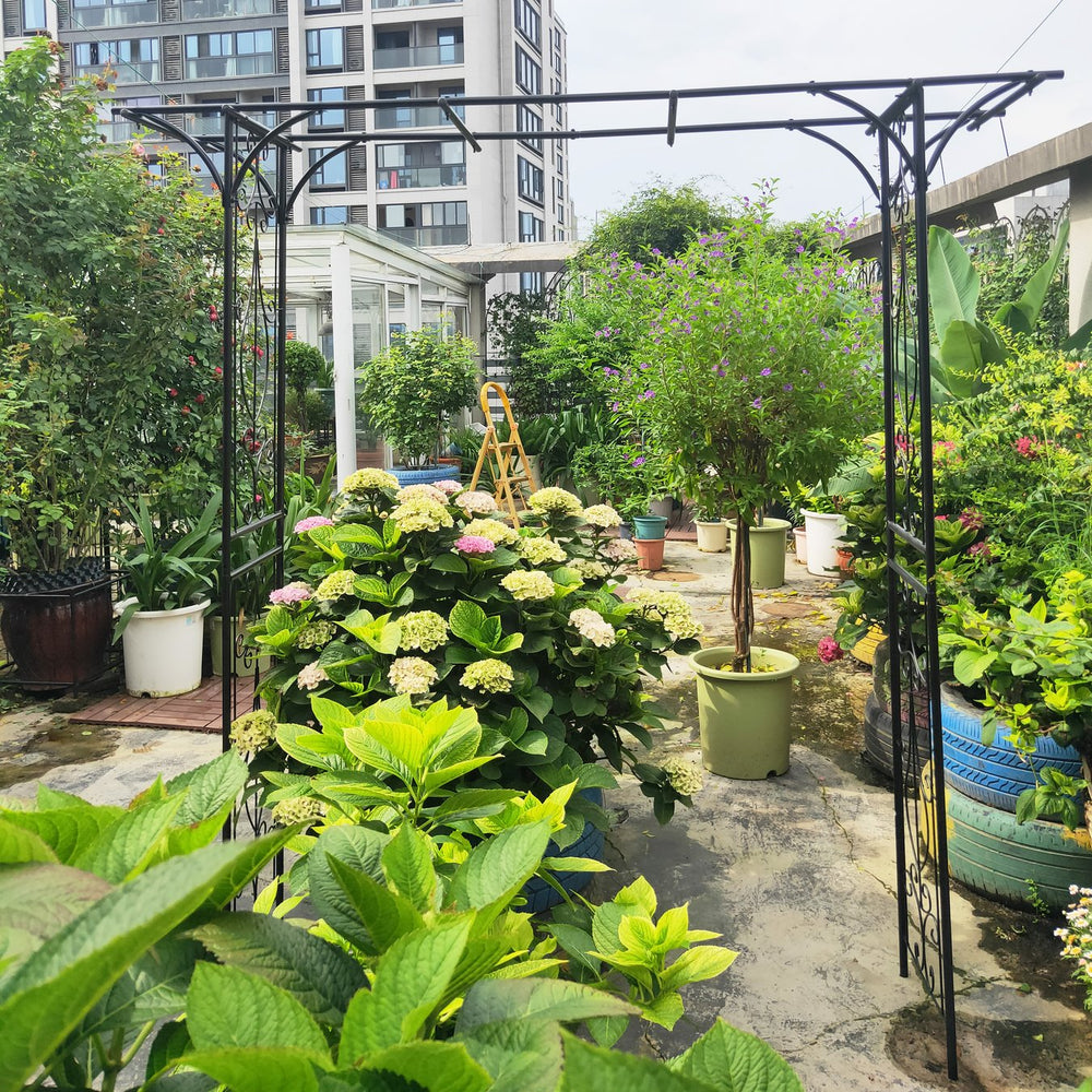 English Elm Metal Powder-coated Garden Arch Galvanized Steel Frame for Climbing Roses Outdoor W1586P148590