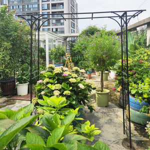 English Elm Metal Powder-coated Garden Arch Galvanized Steel Frame for Climbing Roses Outdoor W1586P148590
