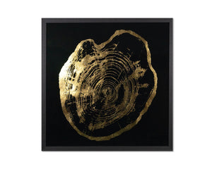 Sunpan TIME LINES Set of 4 Framed Art Panels - 30" Charcoal Frames with Gold Leaf Tree Ring Designs A0325