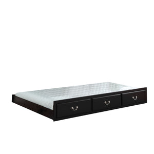 English Elm Bailee Twin Trundle in Black Finish, Faux Drawers, Removable Division Board, KD Synthetic Wood Design B2726P287486