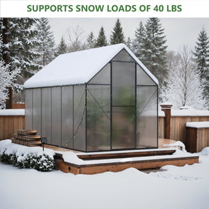 English Elm 6x12 Walk-in Polycarbonate Greenhouse Aluminum Frame Uv Protected Year-round Garden Shed W2259S00048