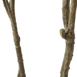 English Elm 210cmartificial Pieris Tree Nearly 7 Foot Faux Indoor Statement Plant Iron Frame 74346.00