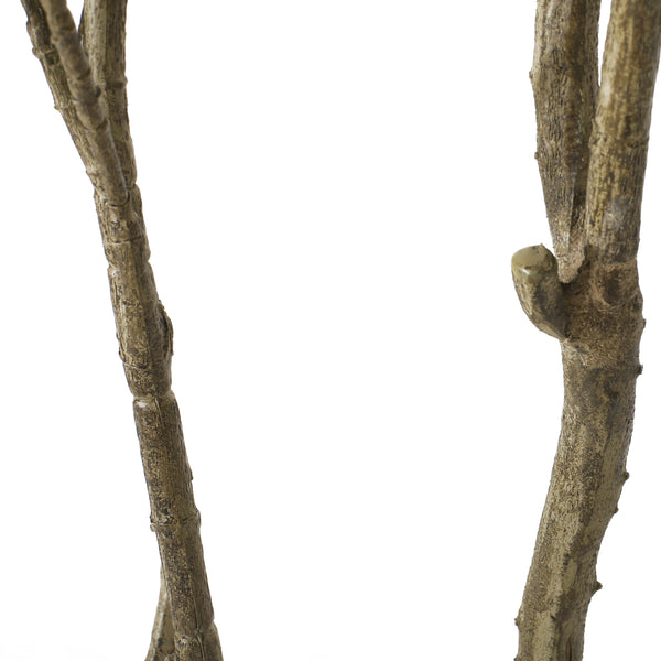English Elm 210cmartificial Pieris Tree Nearly 7 Foot Faux Indoor Statement Plant Iron Frame 74346.00