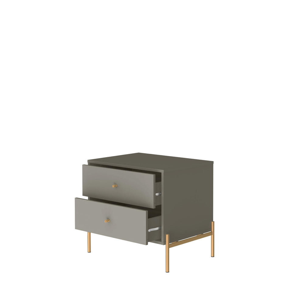 English Elm Jasper 25" Nightstand with Two Full-Extension Drawers, Gold Accents & Sleek Brushed Steel Legs Grey B365P398534