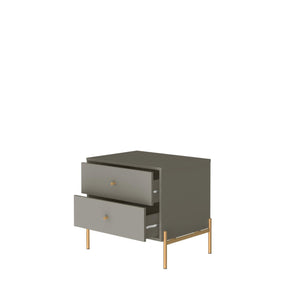 English Elm Jasper 25" Nightstand with Two Full-Extension Drawers, Gold Accents & Sleek Brushed Steel Legs Grey B365P398534