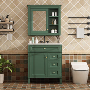 English Elm 30'' Bathroom Vanity Set With Mirror, Modern Freestanding Storage, 2 Drawers & Tip-Out Organizer SW000127AAF-3