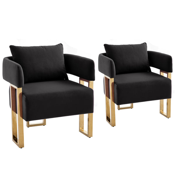 English Elm Ts Velvet Accent Chair Set of Two with Gold Metal Legs for Living Room or Office Black W2311P414940