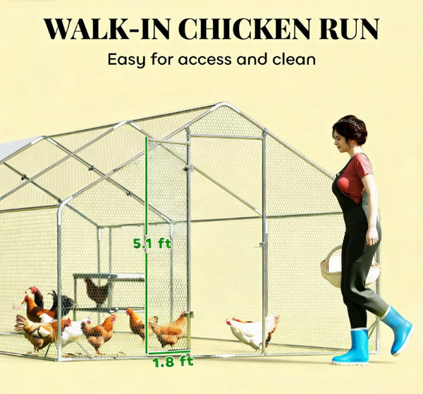 English Elm Chicken Coop Walk in Run with Galvanized Steel Frame and Waterproof Canopy for 24 Birds T3971P433870