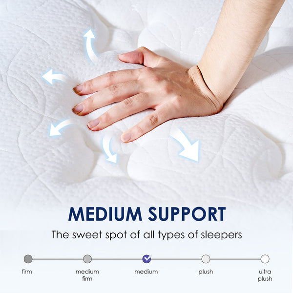 English Elm Full 10 Inch Hybrid Mattress with Pocketed Coils and Certipur Memory Foam Support W2889P423163