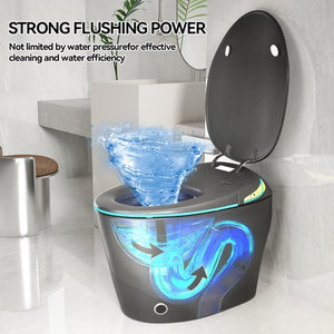 English Elm Unique Smart One Piece Toilet with Bidet Foot Sensor Auto Lid Warm Dryer Night Light W3133P384914