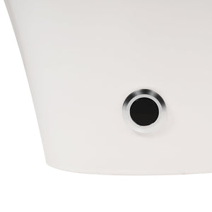 English Elm Heated One-Piece Smart Toilet with Foot-Sensor Flush, Battery Backup, Night Light, Soft-Close Seat N753P213733G