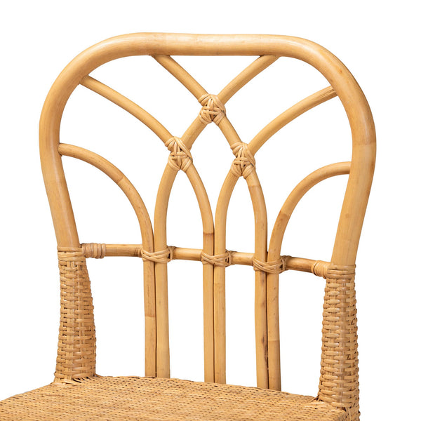 English Elm Modern Rattan Dining Chair Set of Two with Woven Back and Black Iron Base B2750P420435
