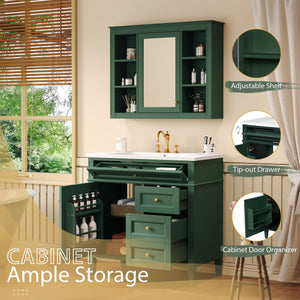English Elm 36'' Modern Bathroom Vanity With Resin Sink, Mirror Cabinet, Soft-Close Drawers & 6 Shelves N710S236006F