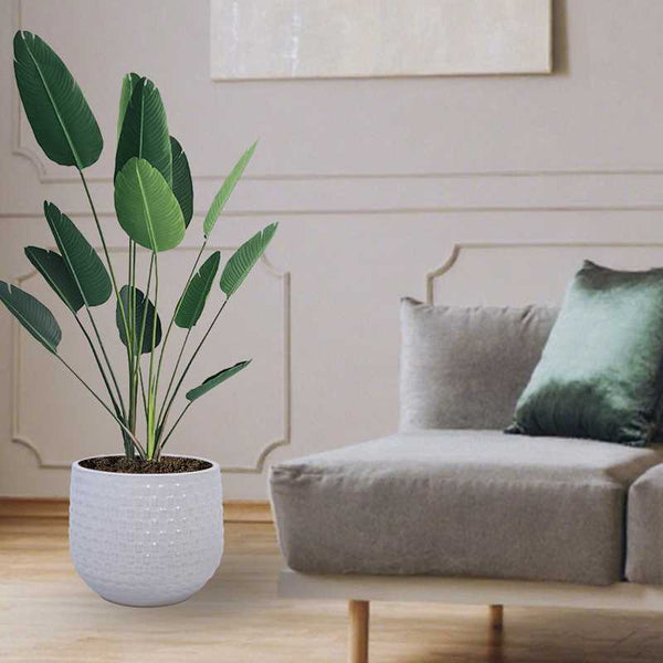 English Elm 3 Pieces Ceramic Flowerpot Set - Elegant Matte White Planters For Modern Home Décor & Gardens W3273P321548