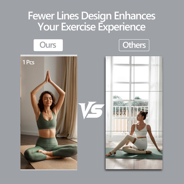 English Elm 63x24 Inch Tempered Glass 2-Pack Home Gym Mirror, Shatterproof Framed Silver, HD Reflection for Fitness T3757P347060