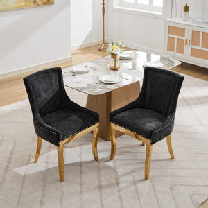 English Elm Chenille Plush Dining Chair with Curved Gold-Plated Legs, Rivet Trim, Textured Upholstery Comfort Black W1143P332685