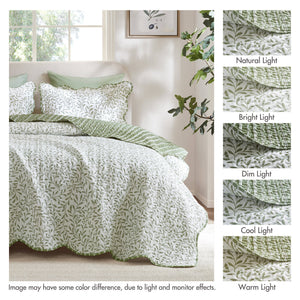 English Elm 3-piece King Quilt Set Scalloped Hem Microfiber Bedding for Master or Guest Room Sage Green B035P482950