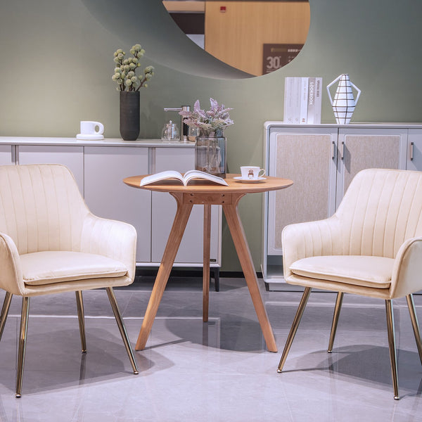 English Elm Velvet Mid-Back Dining Chairs Set of 2 with Gold Plated Legs, Plush Upholstery, Removable Cushions, Ergonomic Support Beige W3394P329173