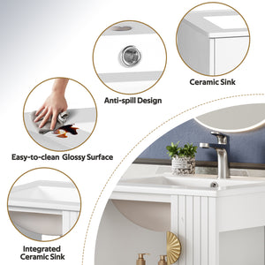 English Elm 20-inch French Style Bathroom Vanity with Integrated Ceramic Sink, Carved Accents & Soft-Close Door White N710P330971K