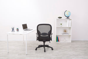 OSP Home Furnishings Professional Ergonomic Mesh Back Office Chair with Lumbar Support and Padded Seat Cushion 2300