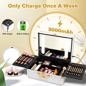 English Elm Portable Led Vanity Makeup Case Aluminum Travel Organizer with Mirror Lock Dividers W1550P163303
