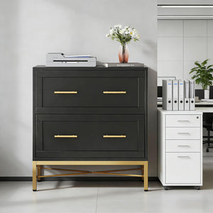 English Elm Multi-functional Nordic Filing Cabinet White Two Drawer Gold Handle Home Office Storage Black T3971P449965