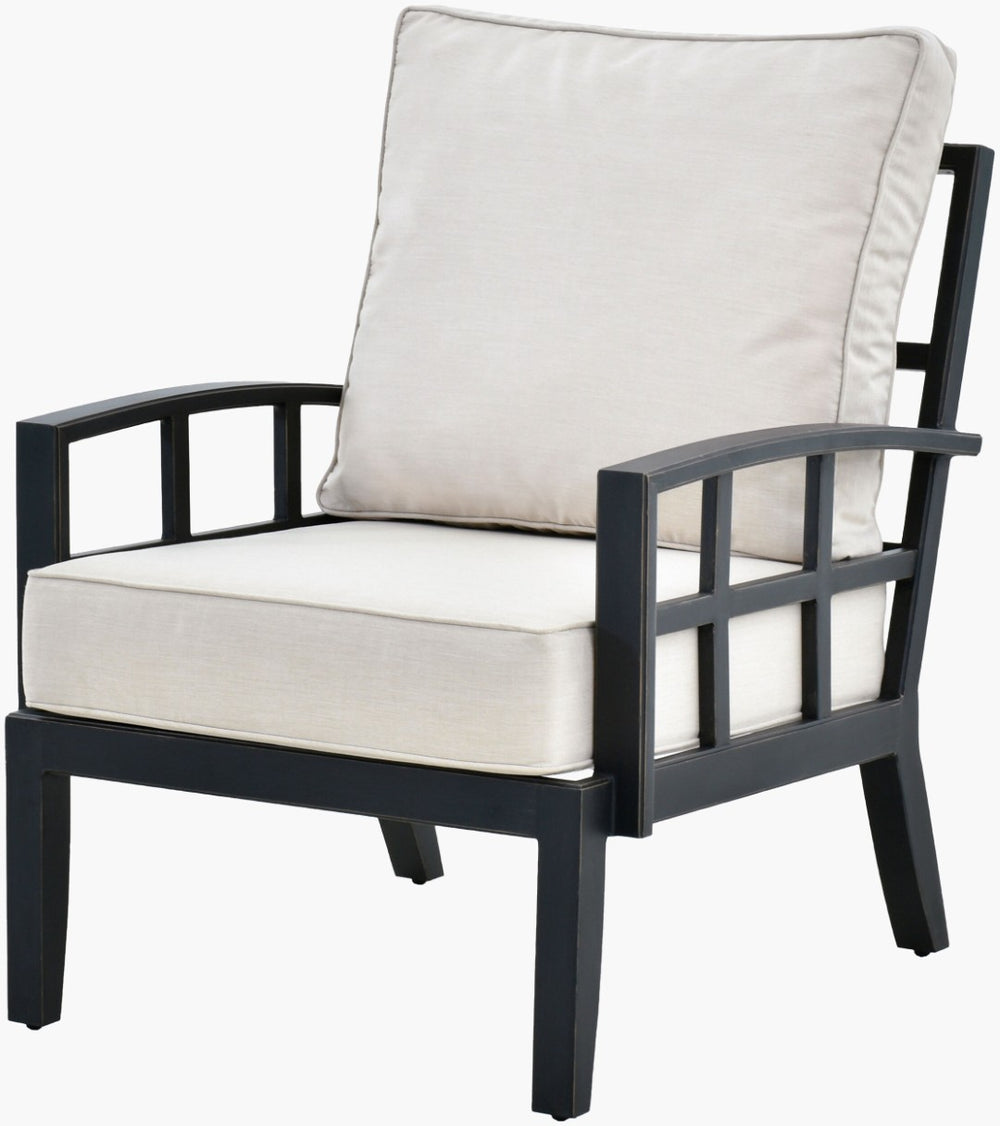 Surya Fairborn Hand-painted Accent Chair with Acrylic Upholstery and Aluminum Base FAIR001-353531