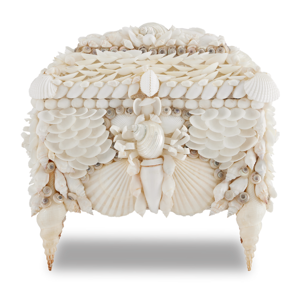 Boardwalk Exquisite Victorian Shell Jewelry Box with Handmade Coastal Design for Elegant Storage
