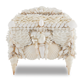 Boardwalk White Shell Jewelry Box