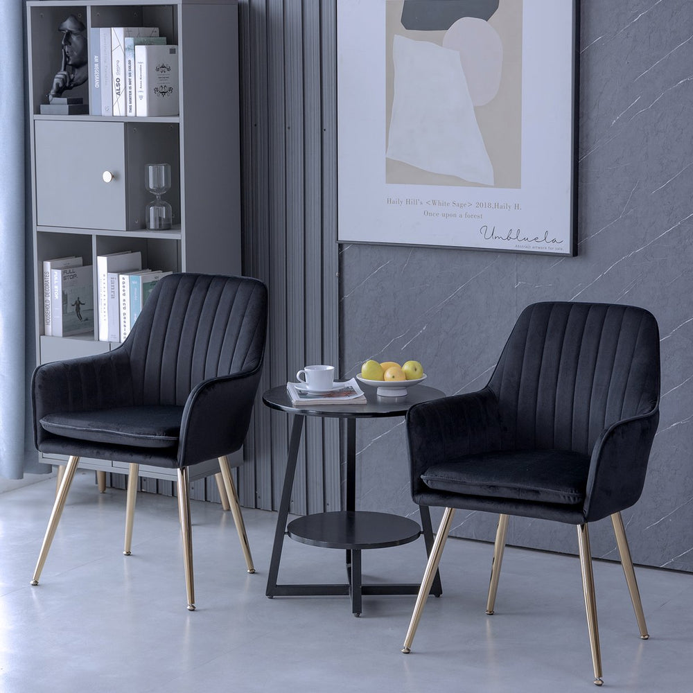 English Elm Velvet Mid-Back Dining Chairs Set of 2 — Luxurious Black Velvet Upholstered Seats with Gold Legs and Removable Cushions W3394P329170