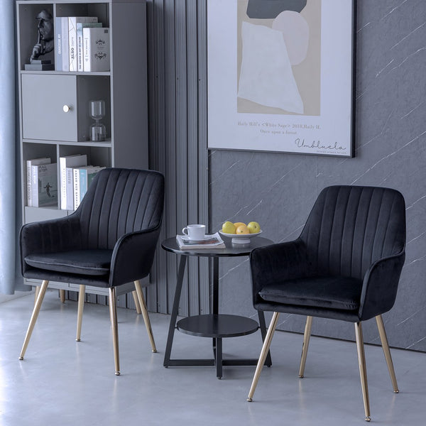 English Elm Velvet Mid-Back Dining Chairs Set of 2 — Luxurious Black Velvet Upholstered Seats with Gold Legs and Removable Cushions W3394P329170