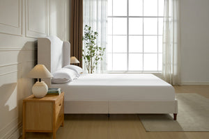 English Elm Hannah Tall 54" Upholstered Wingback King Bed – Ivory Textured Chenille, Walnut Feet, No Box Spring B083P235518