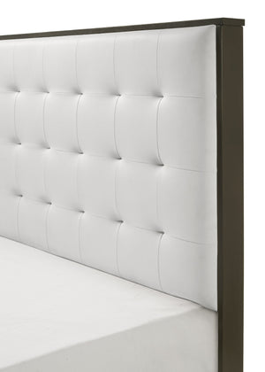 English Elm 1pc Twin Panel Bed Upholstered Button Tufted Headboard Modern Youth Bedroom Frame White B011S01356