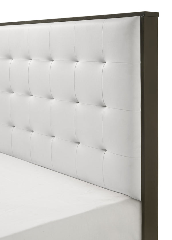English Elm 1pc Twin Panel Bed Upholstered Button Tufted Headboard Modern Youth Bedroom Frame White B011S01356