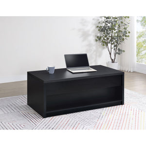 English Elm Fletcher Lacquered High Gloss Coffee Table with Open Shelf for Modern Living Rooms B062P447736