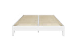 English Elm Steve Silver - Nix - Queen Platform Bed - White