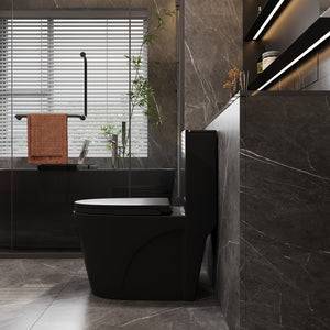 English Elm 1.1/1.6 Gpf Matte Black One-piece Toilet Ada Comfort Height Dual Flush Elongated Bowl T5287P464563