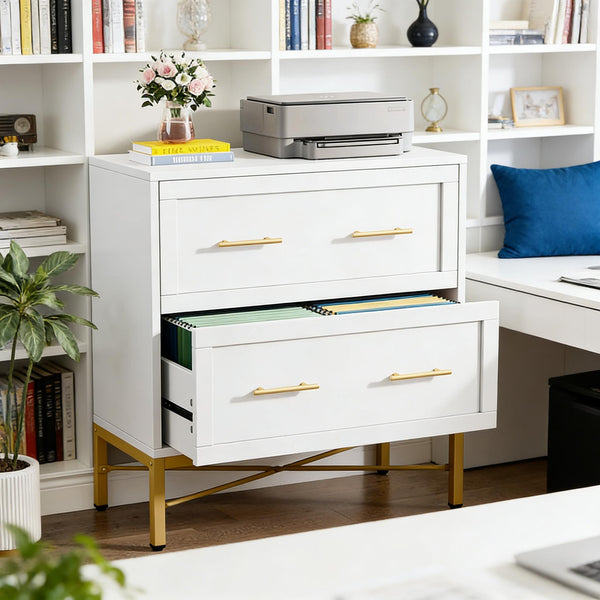English Elm Multi-functional Nordic Filing Cabinet White Two Drawer Gold Handle Home Office Storage Gold,White T3971P449222