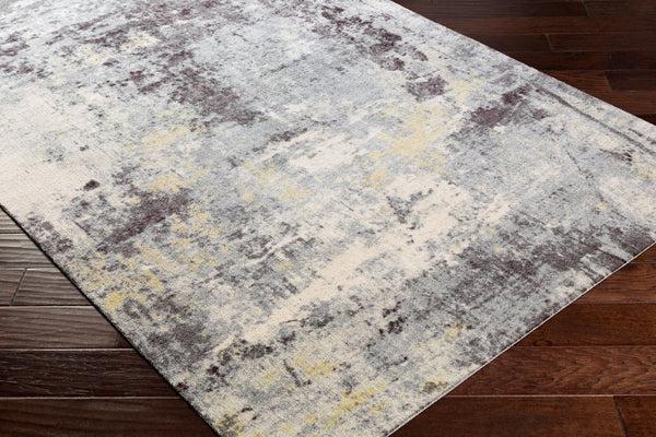 Livabliss Felicity Mid-century Machine Woven Polyester Area Rug for Entryways and Small Spaces Slate, Charcoal 2' x 3' FCT8009-23