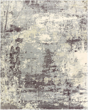 Livabliss Felicity Mid-century Machine Woven Polyester Area Rug for Entryways and Small Spaces Slate, Charcoal 2' x 3' FCT8009-23