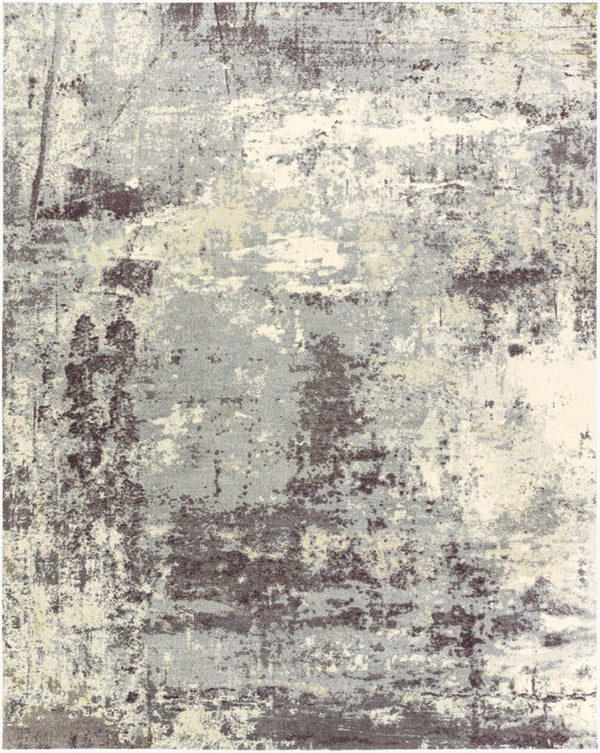 Livabliss Felicity Mid-century Machine Woven Polyester Area Rug for Entryways and Small Spaces Slate, Charcoal 2' x 3' FCT8009-23