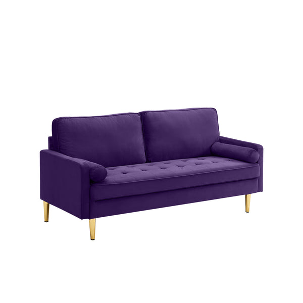 English Elm 65-inch minimalist velvet loveseat with gold metal legs, thick cushions, solid pine frame, 800lb capacity Purple W2795P247577