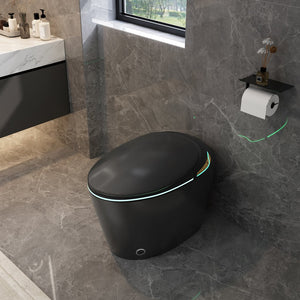 English Elm Unique Smart Toilet with Built in Bidet Auto Lid Foot Sensor and Warm Air Dryer W3133P384976