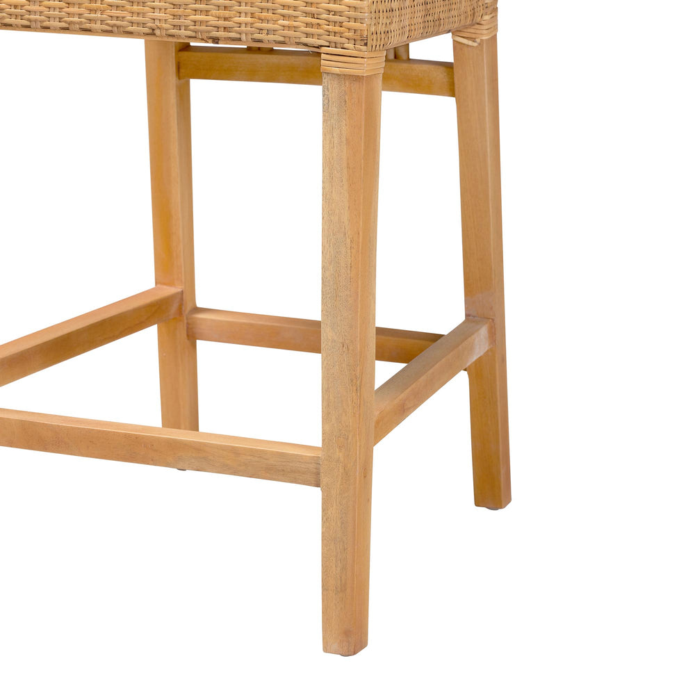 English Elm Modern Rattan Dining Chair Set of Two with Woven Back and Black Iron Base B2750P420435