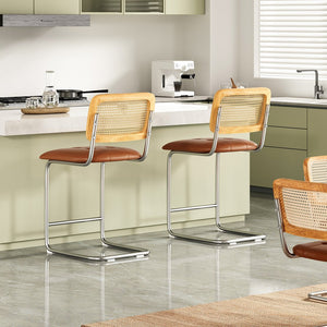 English Elm Farini Velvet Counter Height Bar Stools Set of 2 with Rattan Back, Cantilever Comfort & Floor Protectors Brown T3623P354966