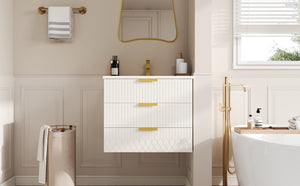 English Elm 24inch Bathroom Vanity with Ceramic Basin Sink, Wall-Mounted Double Drawer Cabinet for Small Baths White N710P324097K