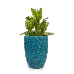 English Elm Ceramic Handcrafted Cyan Planter - Modern Elegance For Your Patio, Garden, Or Windowsill Display W3273P326367