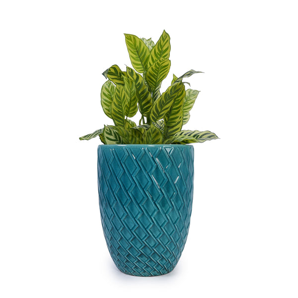 English Elm Ceramic Handcrafted Cyan Planter - Modern Elegance For Your Patio, Garden, Or Windowsill Display W3273P326367