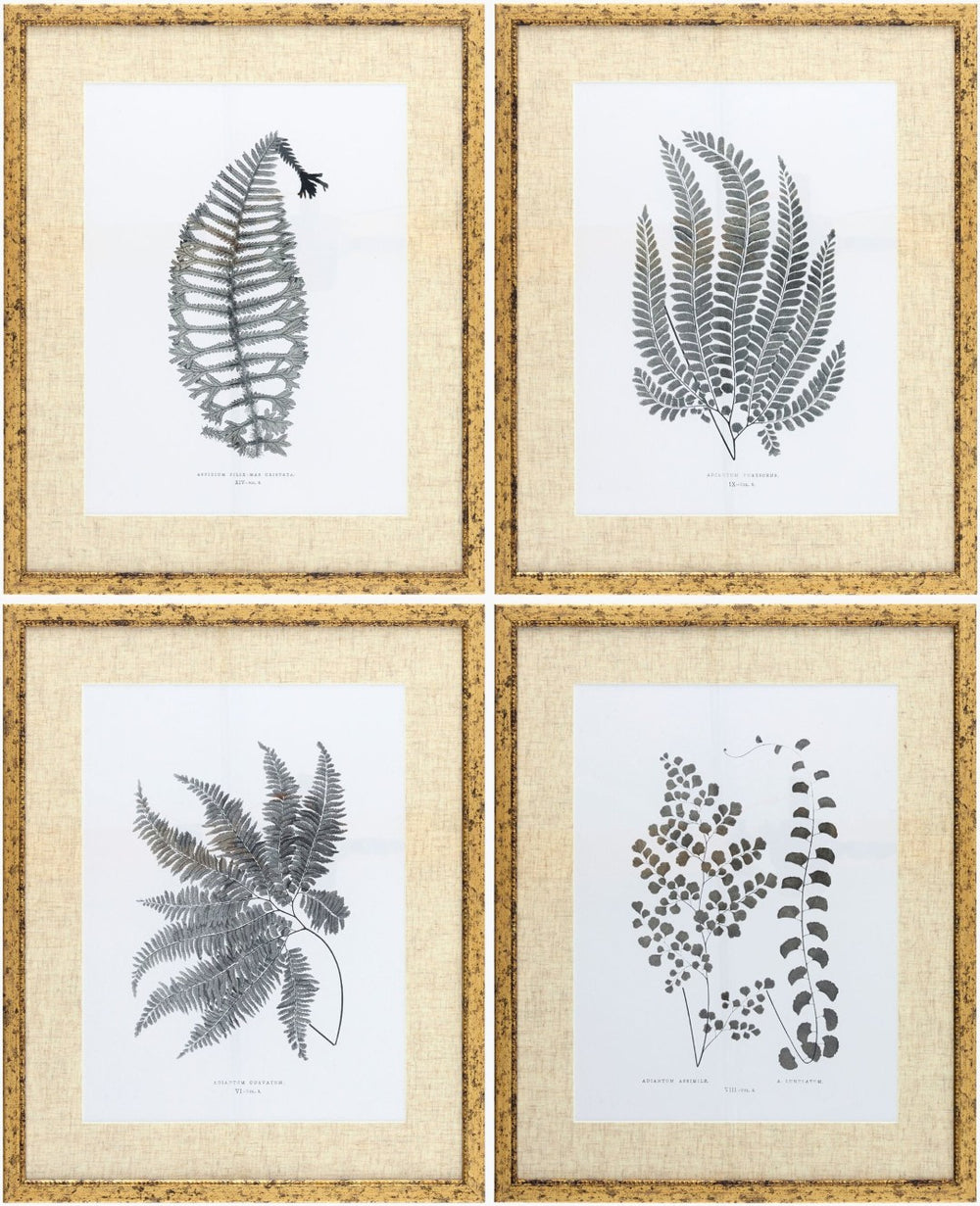 Livabliss Ferne Country Cottage Framed Wall Art Set Three Panels Gallery Ready Home Decor FERN003-SET