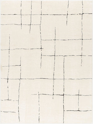 Livabliss Freud Swirl Geometric High Pile Polyester Runner Rug for Hallway or Entryway Ivory, Black 5'3" x 7' FEU2300-537